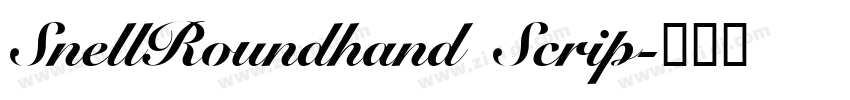 SnellRoundhand Scrip字体转换